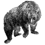 abumarsad profile