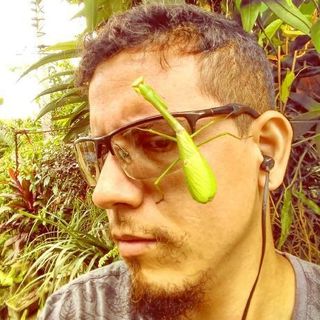 Raphael Navegantes profile picture