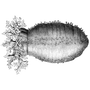 acasac2145 profile