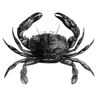 Yaskar profile picture