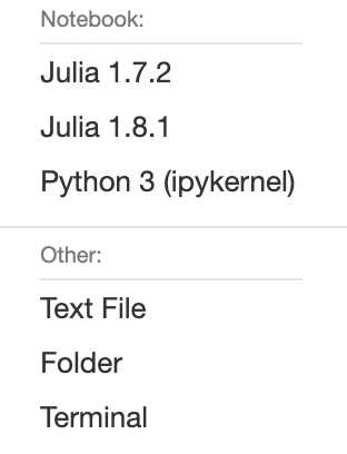 Image of the list of Notebooks available on IJulia.