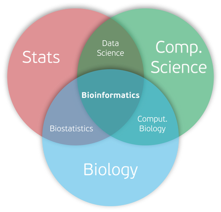 Cover image for Why I'm hyped about Julia for Bioinformatics