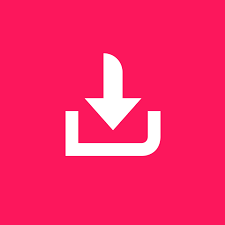 download TikTok video profile picture