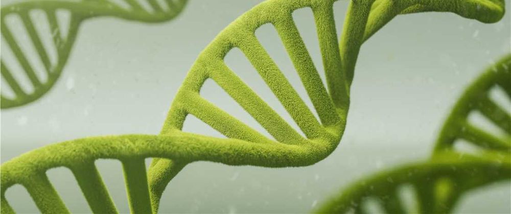 Cover image for Strategies for Gene Overexpression in Strain Engineering