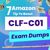 CLF-C01 Exam Dumps